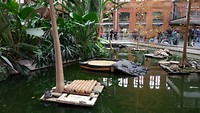 binnen is een tropische tuin