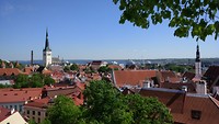 uitzicht