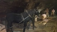 vroeger met paard en kar diep onder de grond