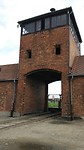 Birkenau