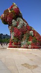de beroemde puppy van Jef Koons