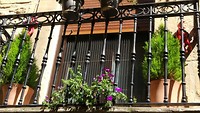 de paprika en pepers drogen op het balkon