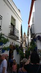bloemenstraatje Córdoba