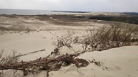 Niemandsland tussen Nida en Kaliningrad