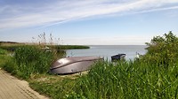 Koerse Haf