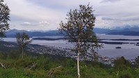 Molde van bovenaf