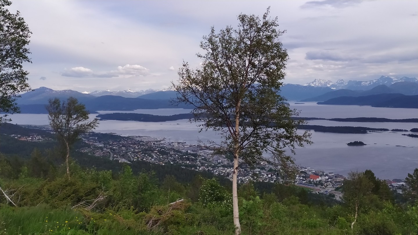 Molde van bovenaf