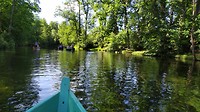 Alles is groen en het water weerspiegelt