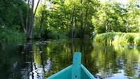 Krutynia rivier, uurtje varen