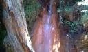 fuente agria