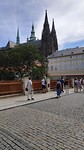 Masaryk brug met zicht op kathedraal en burcht