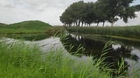 vanaf de grond niet goed te onderscheiden