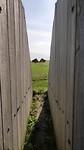 het Observatorium