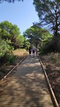 wandeling door het bos naar het strand