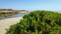 strand bij El saler