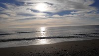 Ochtendwandeling