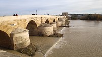 De Romeinse brug