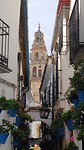 Calle de las Flores met minarettoren
