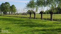 wakker worden met mooi weer