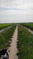 dwars door de velden fietsen we terug naar Schoonhoven