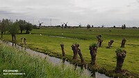 Kinderdijk zonder Chinezen