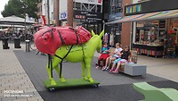 en nog meer ezels in de stad