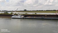 veel binnenvaart op de Rijn