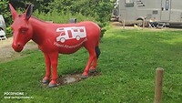 overal staan ezels: hoe heet de burgemeester van Wesel?