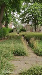 voormalig Joods kerkhof op de stadsmuren