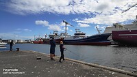 een levendige stad met een haven