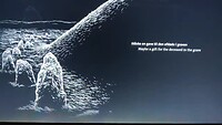 filmpje over de vondsten