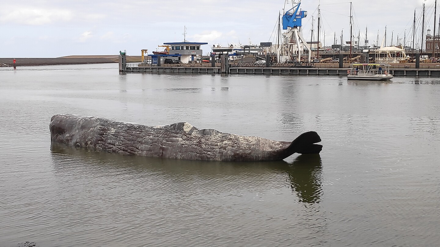 de fontein: de walvis