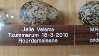 een van de laatste eieren