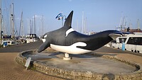 De Orca aan de haven