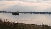 plassen langs de Maas