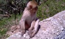 en de kleintjes natuurlijk
