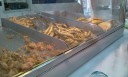 bij Romerijo koop je vis zelf  die je opeet in het restaurant