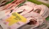 de vis wordt niet duur betaald op de markt in oviedo