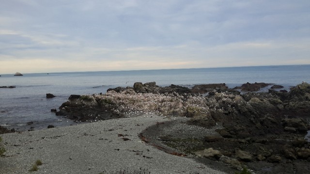 tmp_22930-20151002_121853712232936