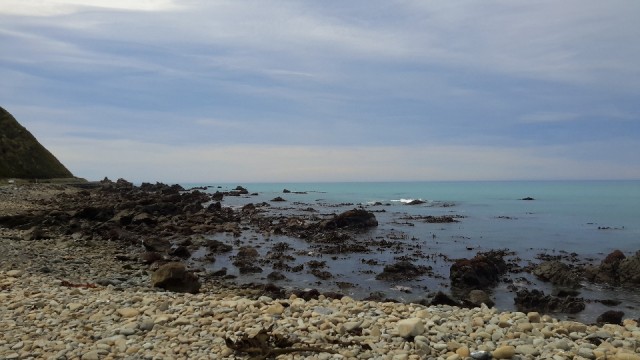 tmp_29707-20151002_132546-161244165