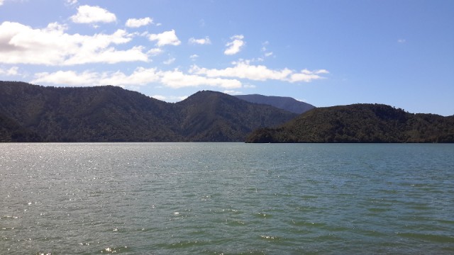 tmp_5632-20151003_125350775334253