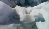 IMAG0175
