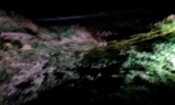 IMAG0195