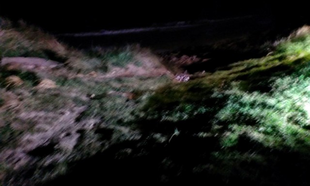 IMAG0195