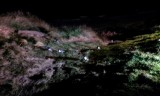 IMAG0198