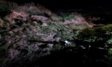 IMAG0199