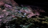 IMAG0205
