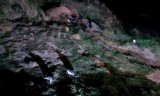 IMAG0206