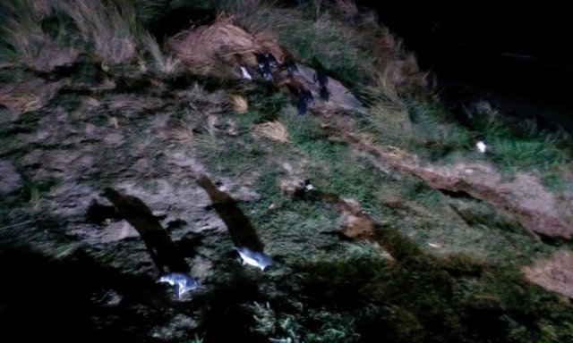IMAG0206