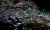 IMAG0207